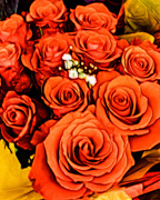 14th Mar 2017 - Orange #2  roses
