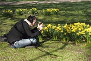 14th Mar 2017 - Photographer at work in St James Park