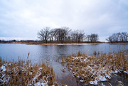 13th Mar 2017 - Lake Landscape with Treeline