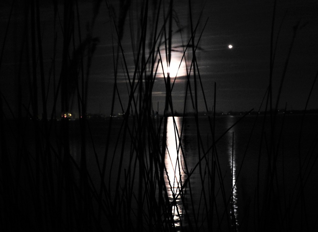 DSCN0071 full moon over lake Akersloot by marijbar