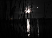 15th Mar 2017 - DSCN0071 full moon over lake Akersloot