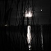 DSCN0071 full moon over lake Akersloot by marijbar