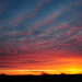 Kansas Sunrise by genealogygenie