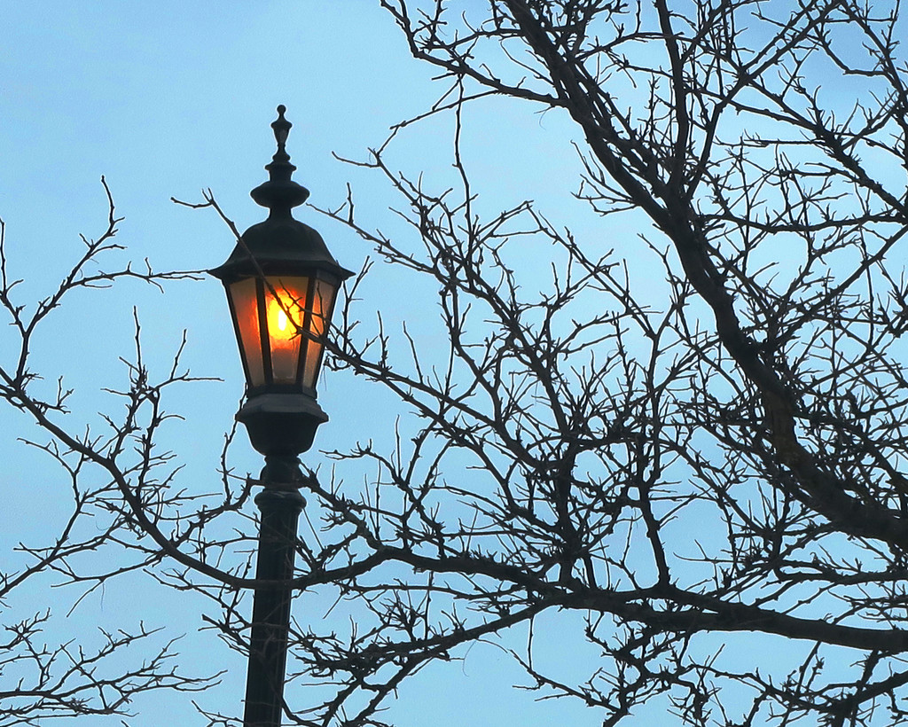 The Crooked Lamp Post by april16