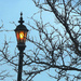 The Crooked Lamp Post by april16