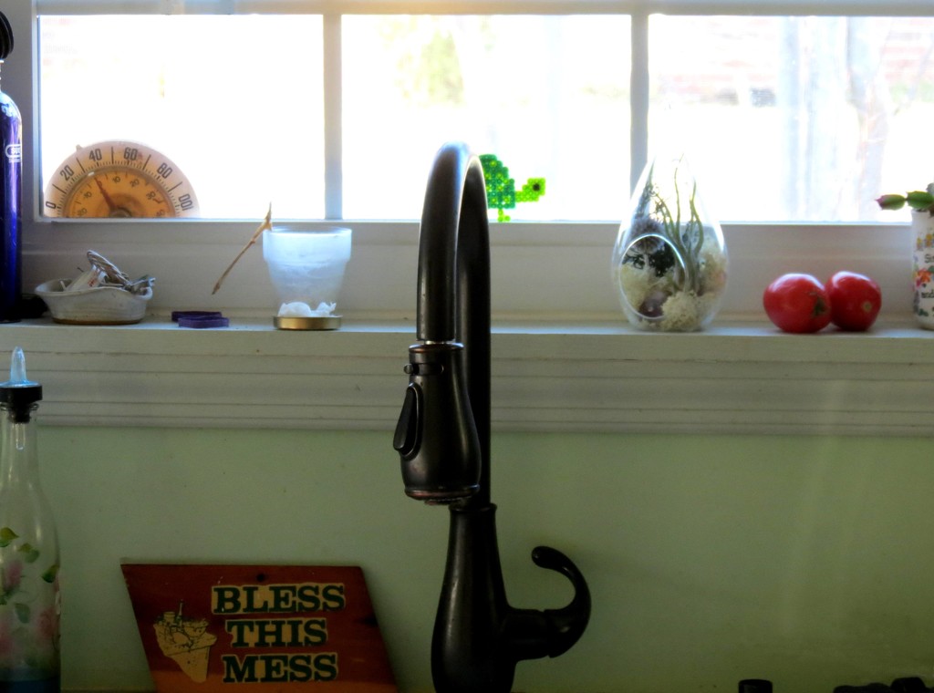 Out My Kitchen Window by grammyn
