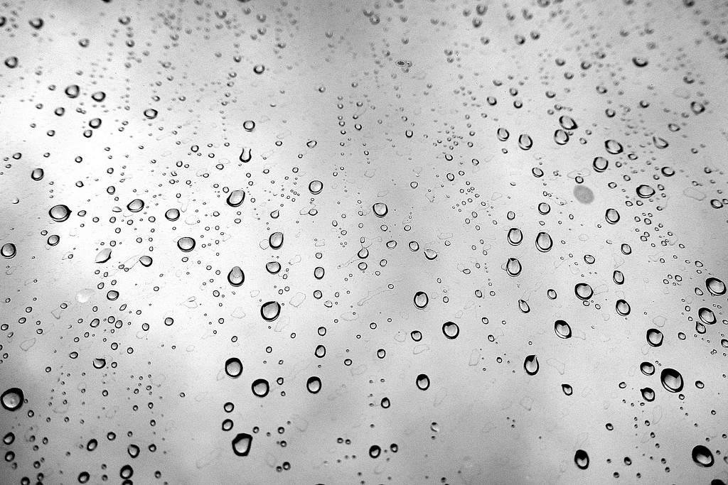 Rainy window by homeschoolmom
