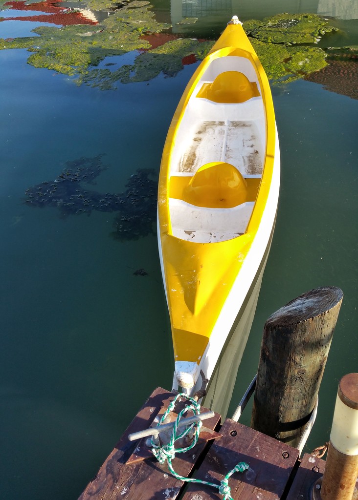 Yellow Canoe by salza
