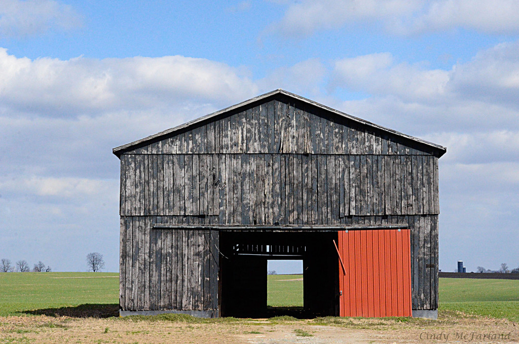 Barn with a red door by cindymc