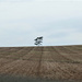 Lonely tree! by bigmxx