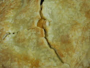 14th Mar 2017 - Closeup of Apple Pie 