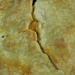 Closeup of Apple Pie  by sfeldphotos