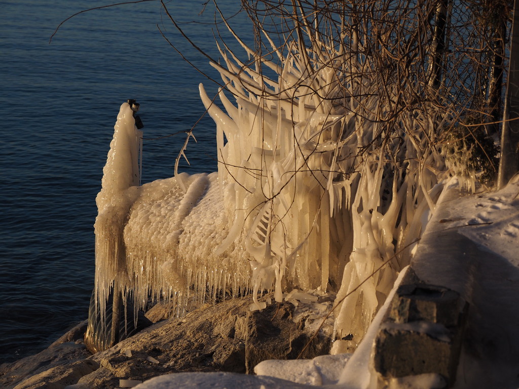Ice Sculpture by selkie