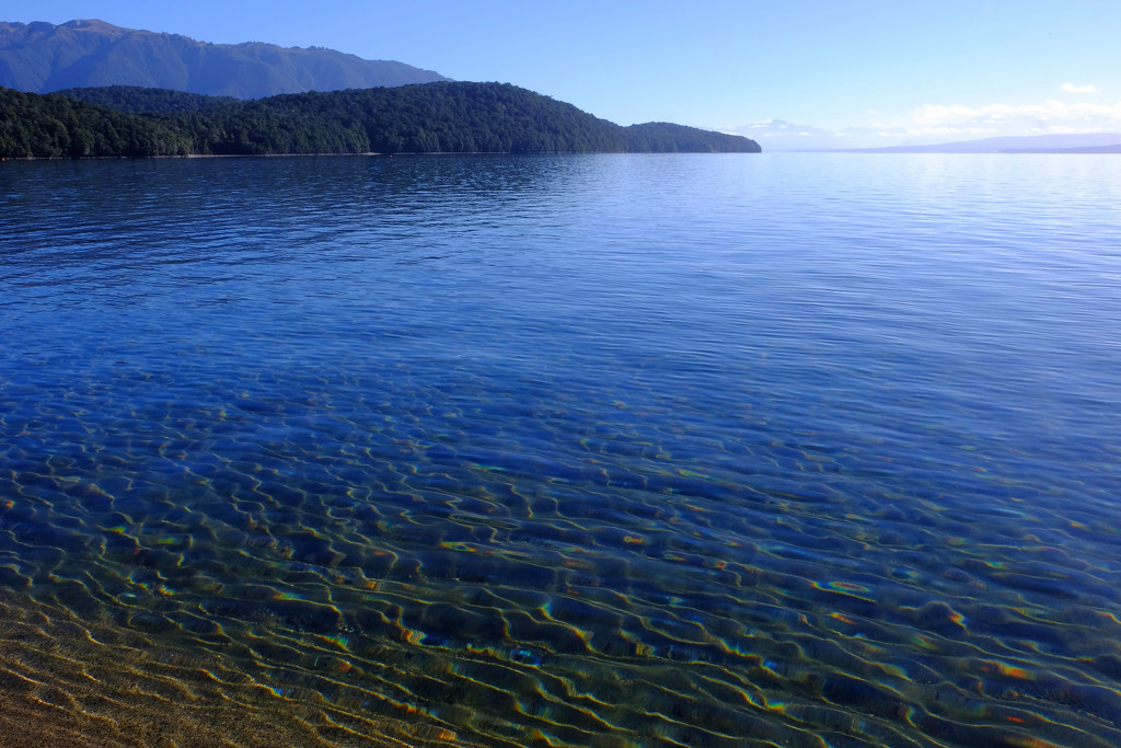 Brod Bay Lake Te Anua by dkbarnett