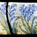 Bluebells by daffodill