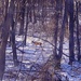 Little Deer in a Biggish Suburb. by meotzi