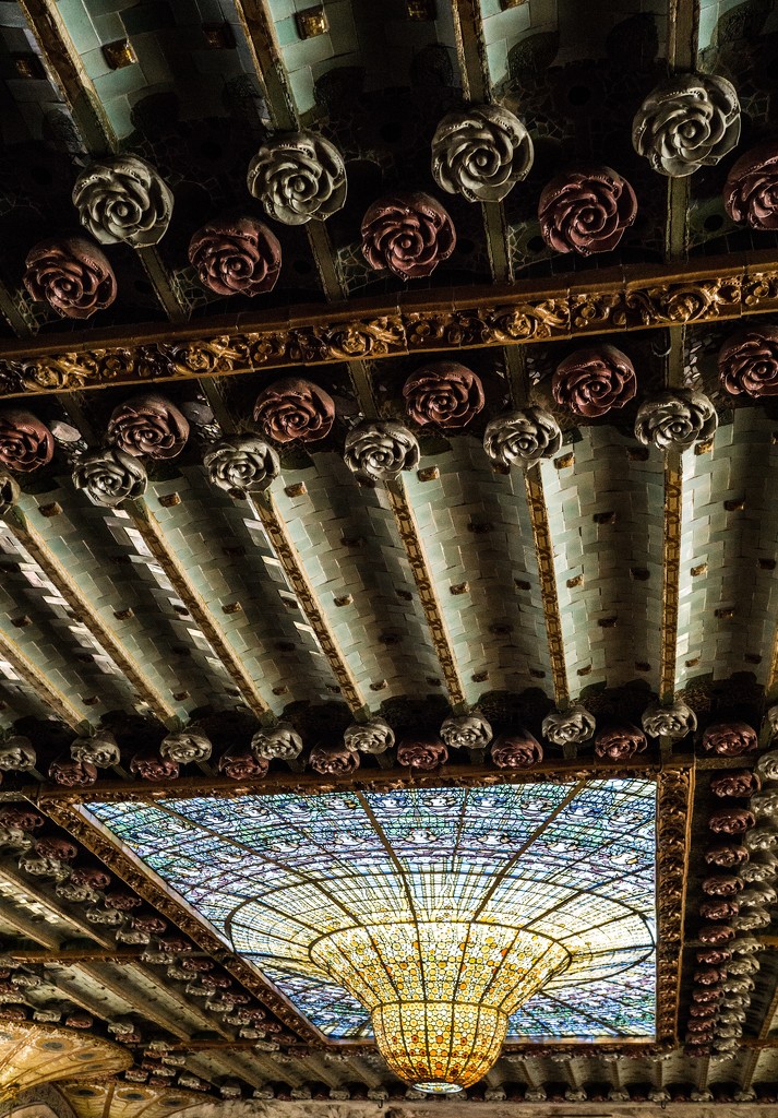 Catalonian roses and the sun skylight by cristinaledesma33