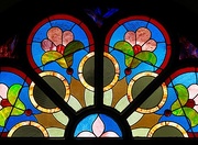17th Mar 2017 - Stained Glass Flower