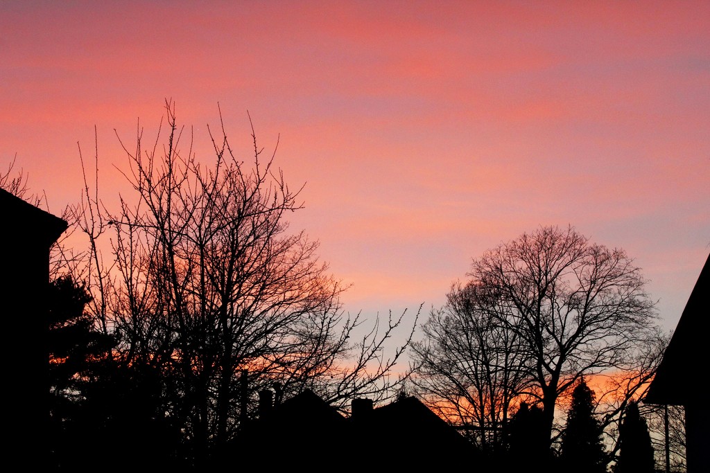 Sunset from my window by lucien