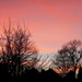 Sunset from my window by lucien