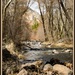 Oak Creek - Awaiting Spring by ckwiseman