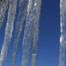 Icicles in March by houser934