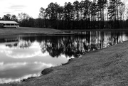 19th Mar 2017 - Black and white reflections