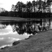 Black and white reflections by homeschoolmom