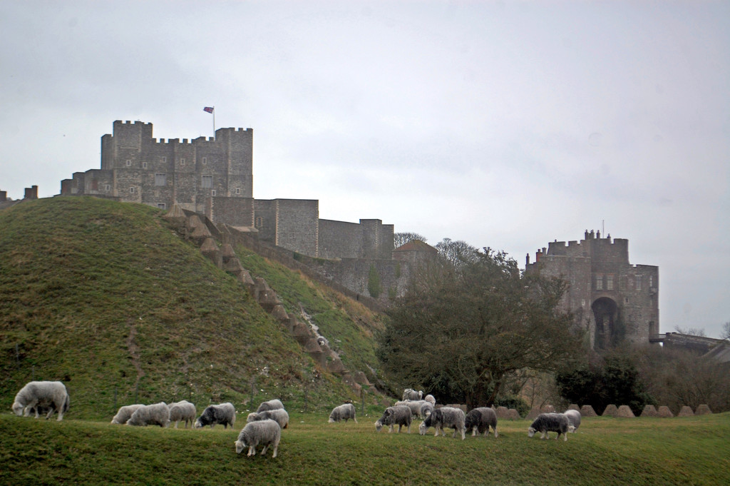 Dover Castle by fbailey