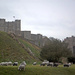 Dover Castle by fbailey