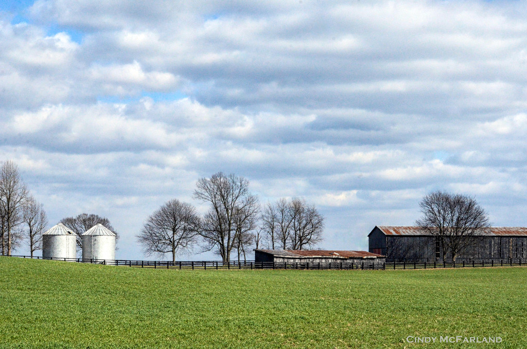Green fields and Billowy Clouds by cindymc