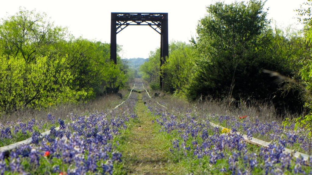 Kingsland Railroad Bridge by 365projectorgkaty2