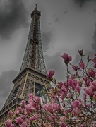 21st Mar 2017 - Eiffel Tower