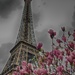Eiffel Tower by jamibann