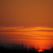 Orange Sunrise by genealogygenie