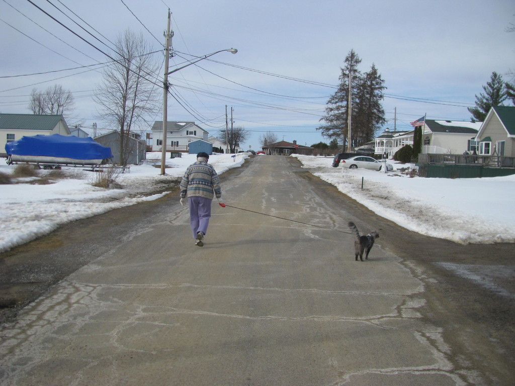 walking our cat by rrt