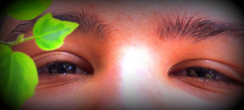 Green Eyed Ivy by homeschoolmom
