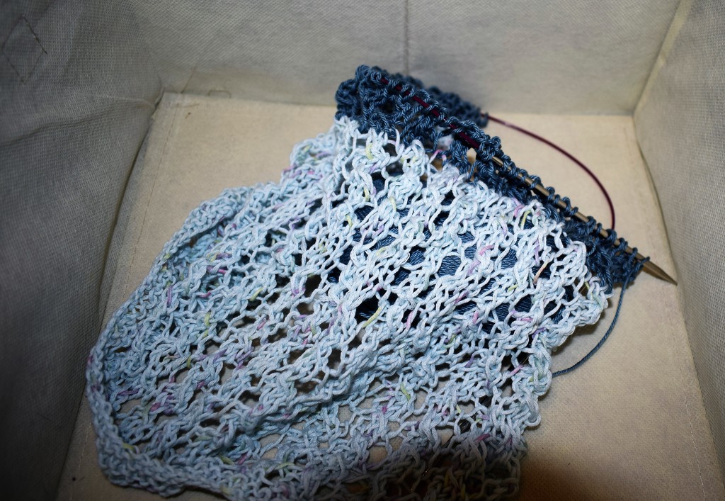 Knit in Progress by sandlily