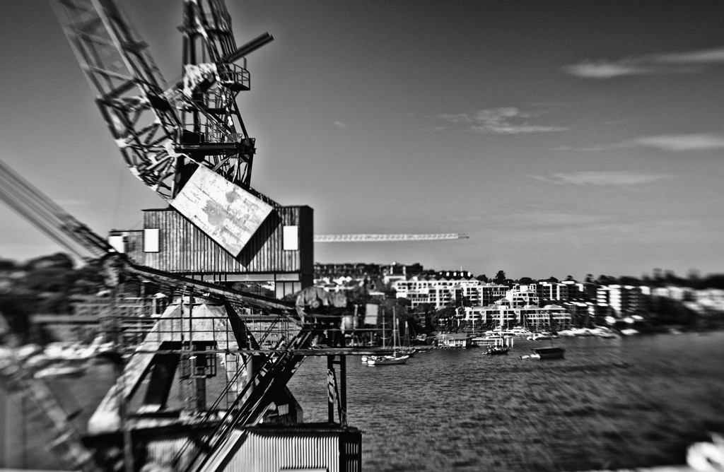 Cockatoo Island - all about the cranes - 3 by annied