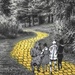 WWYD154 yellow brick road by jesperani