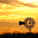 Windmill Wednesday by genealogygenie