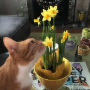 20th Mar 2017 - Don't Forget To Stop & Smell The Flowers