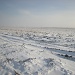 Winterwonderland by pyrrhula