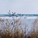 March Lake Huron  by amyk