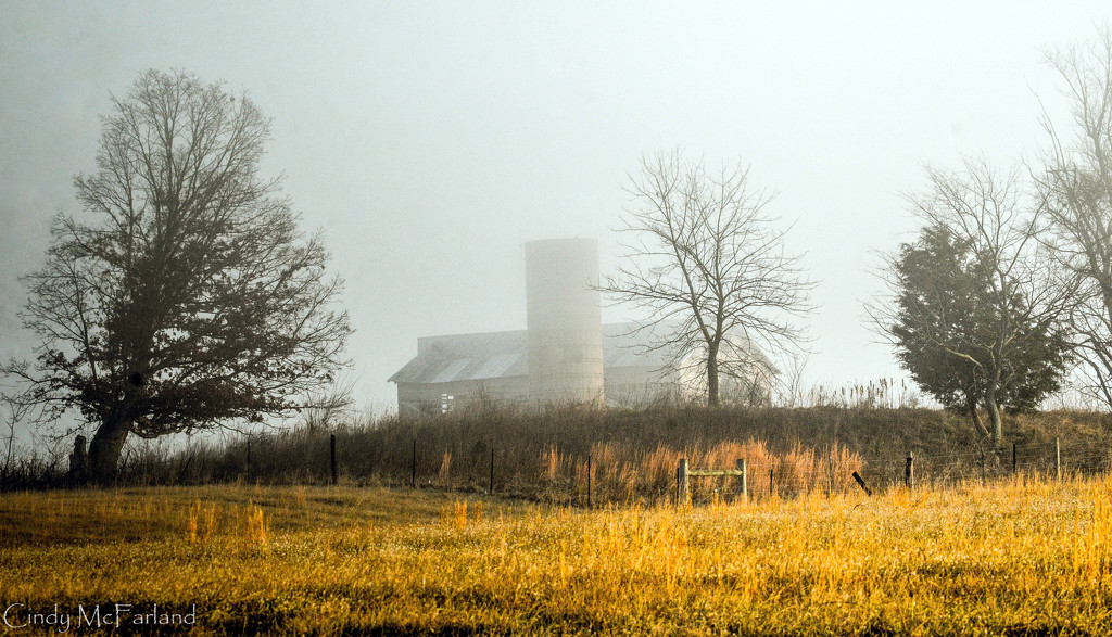 Fog on the hill  by cindymc