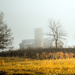 Fog on the hill  by cindymc