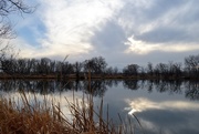 22nd Mar 2017 - Riverbend Pond Reflection