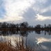 Riverbend Pond Reflection by sandlily