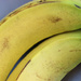 Boring bananas by ingrid01