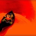A Little Froggy Floating in a Sea of Orange by olivetreeann